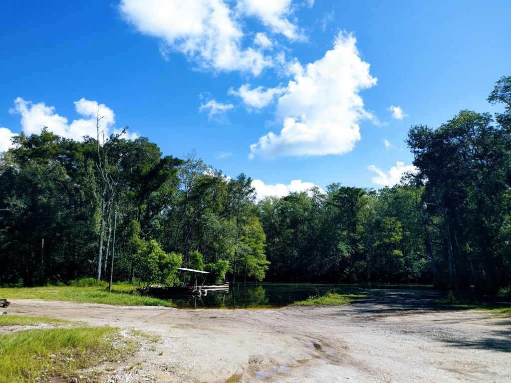 0 Old Bay City Road Wewahitchka, FL 32465 - Photo 13 of 24