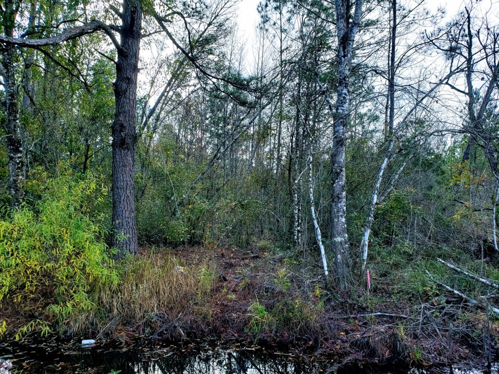 0 Old Bay City Road Wewahitchka, FL 32465 - Photo 14 of 24