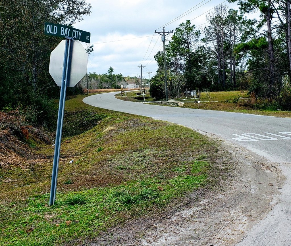0 Old Bay City Road Wewahitchka, FL 32465 - Photo 15 of 24
