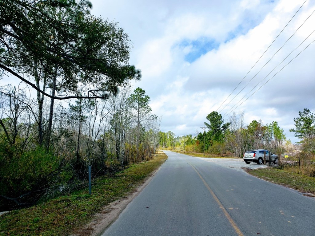 0 Old Bay City Road Wewahitchka, FL 32465 - Photo 17 of 24