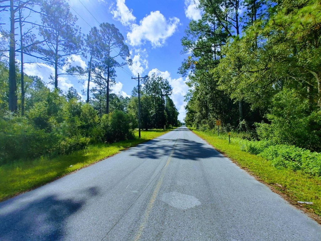 0 Old Bay City Road Wewahitchka, FL 32465 - Photo 18 of 24