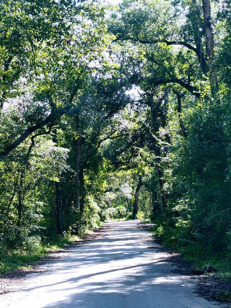 0 Old Bay City Road Wewahitchka, FL 32465 - Photo 2 of 24