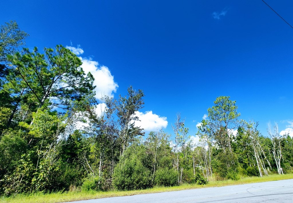 0 Old Bay City Road Wewahitchka, FL 32465 - Photo 22 of 24