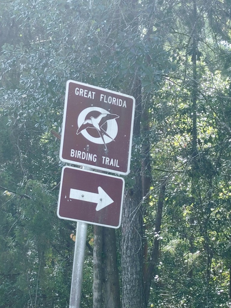 0 Old Bay City Road Wewahitchka, FL 32465 - Photo 23 of 24
