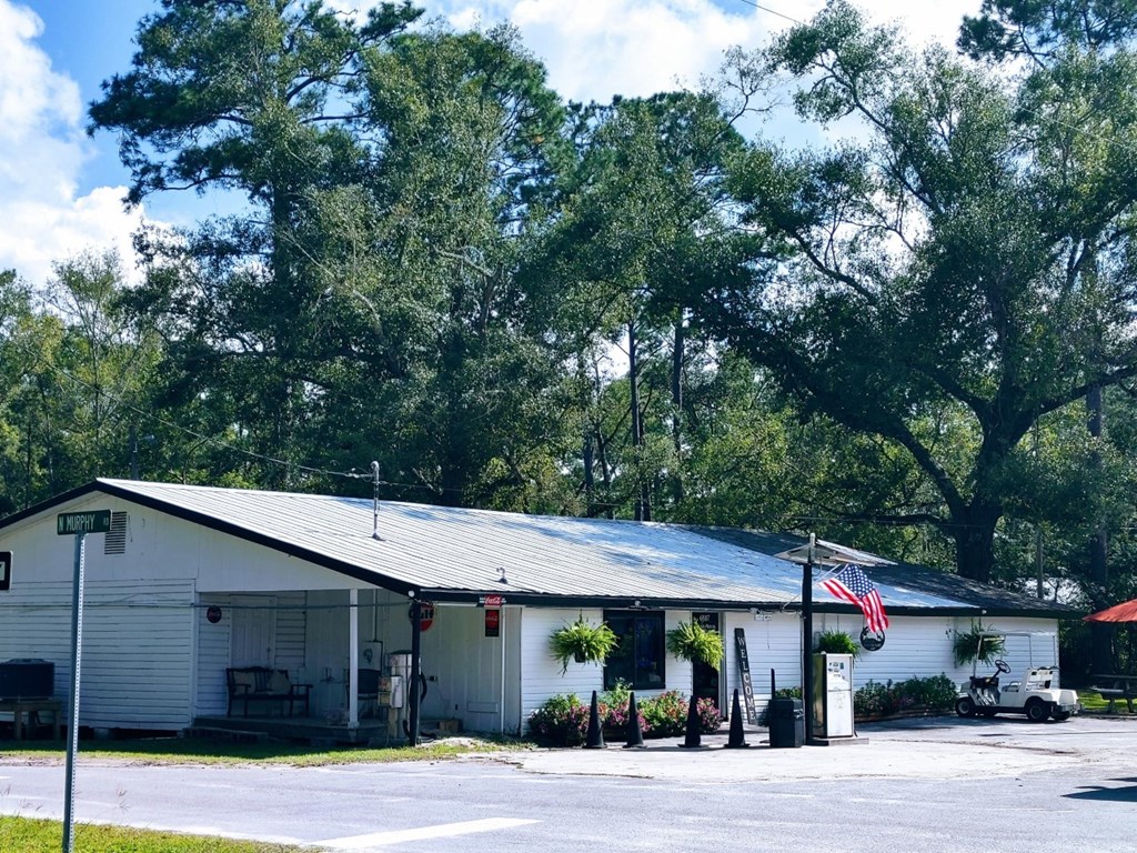 0 Old Bay City Road Wewahitchka, FL 32465 - Photo 24 of 24