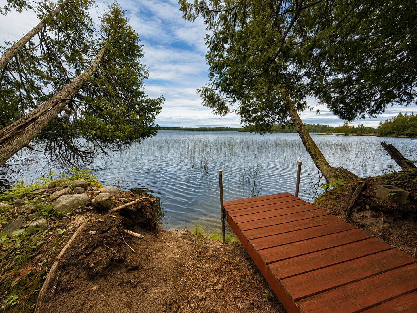 50573 Evergreen Point Road Bigfork, MN 56628 - Photo 40 of 47