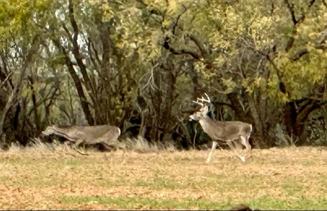 a backyard of a house