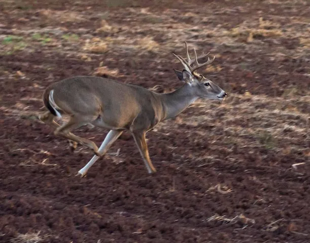 a view of an ocean and a yard