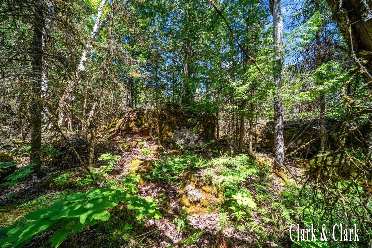 35965 South Humms Road Drummond Island, MI 49726 - Photo 66 of 73 139-WOODS 07A