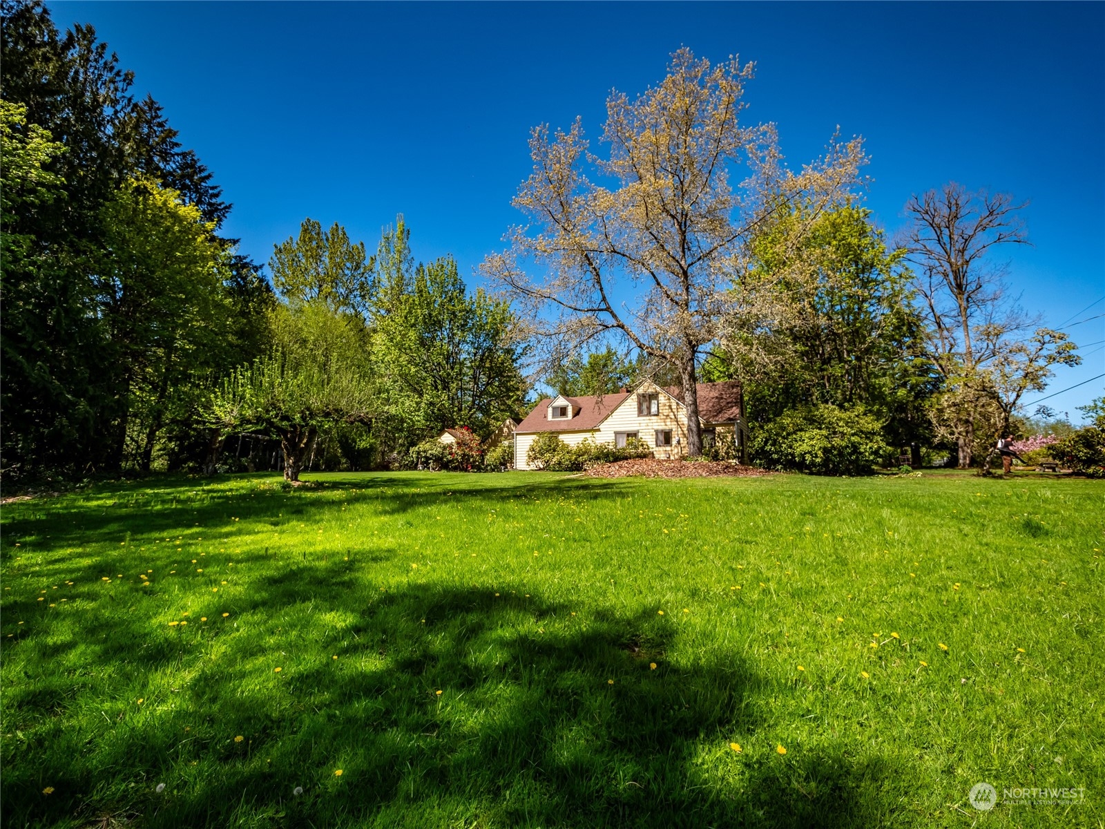 4923 Lemon Road Northeast Olympia, WA 98506 - Photo 17 of 40 Gallery Image 17