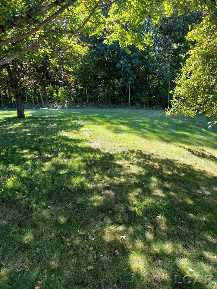 14500 Hudson Road Manchester, MI 48158 - Photo 10 of 46