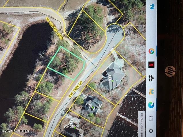 432 Bay Tree Drive Harrells, NC 28444 - Photo 1 of 1 IMG_3940