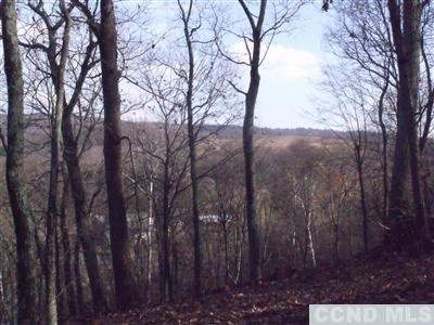 0 Freueh Road Craryville, NY 12521 - Photo 1 of 1 Photo 1