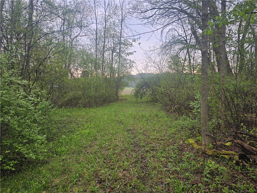 1537 Tyre ( Entire Parcel) Road Clyde, NY 14433 - Photo 16 of 39