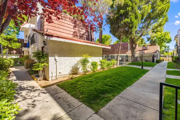 a view of a yard with plants and large trees