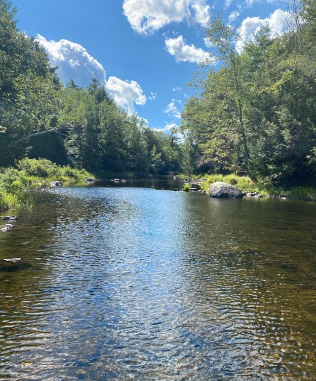 Lot #17 Mills Road Whitefield, ME 04353 - Photo 4 of 16 4 (Custom)