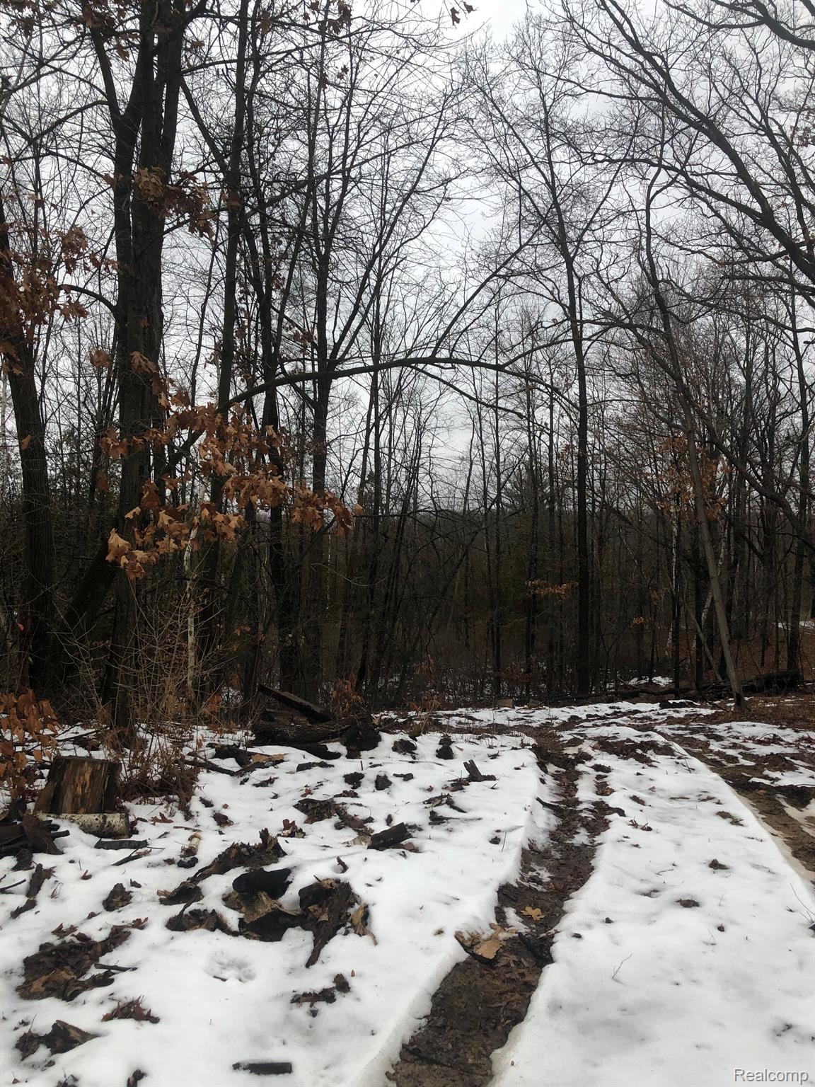 1471 Dockham Road Columbiaville, MI 48421 - Photo 7 of 8 Gallery Image 7