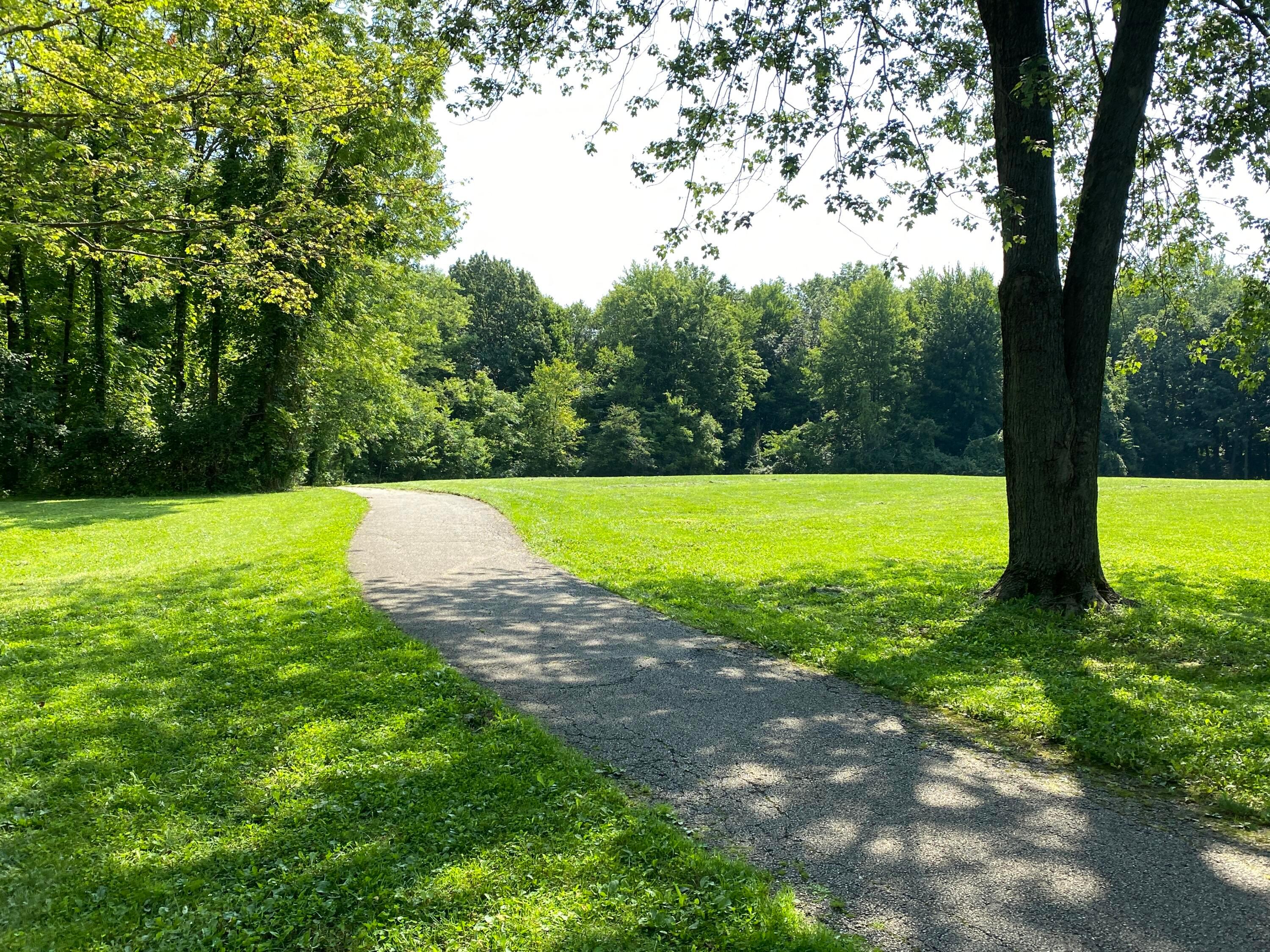 880 Riva Ridge Boulevard Gahanna, OH 43230 - Photo 78 of 79 WALKING TRAIL