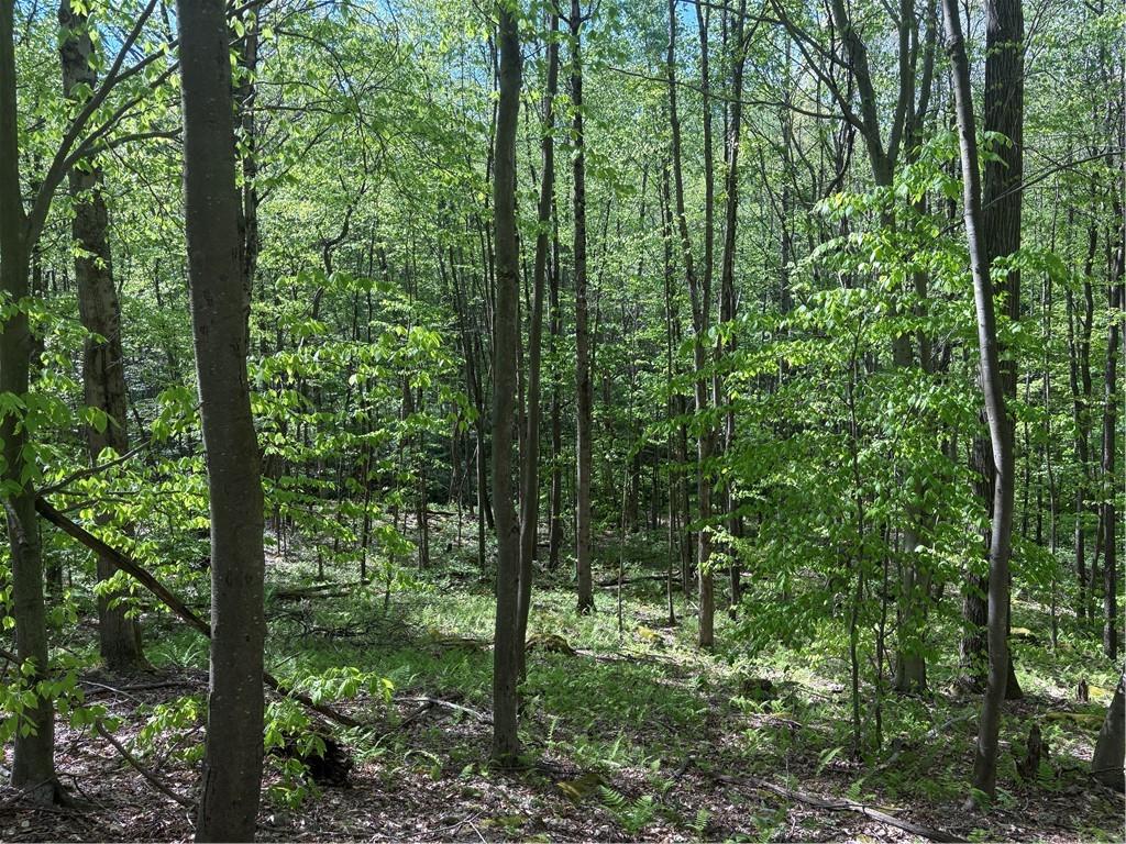 Lot 3-4 Killarney Road Mill Run, PA 15464 - Photo 6 of 29 Gallery Image 6