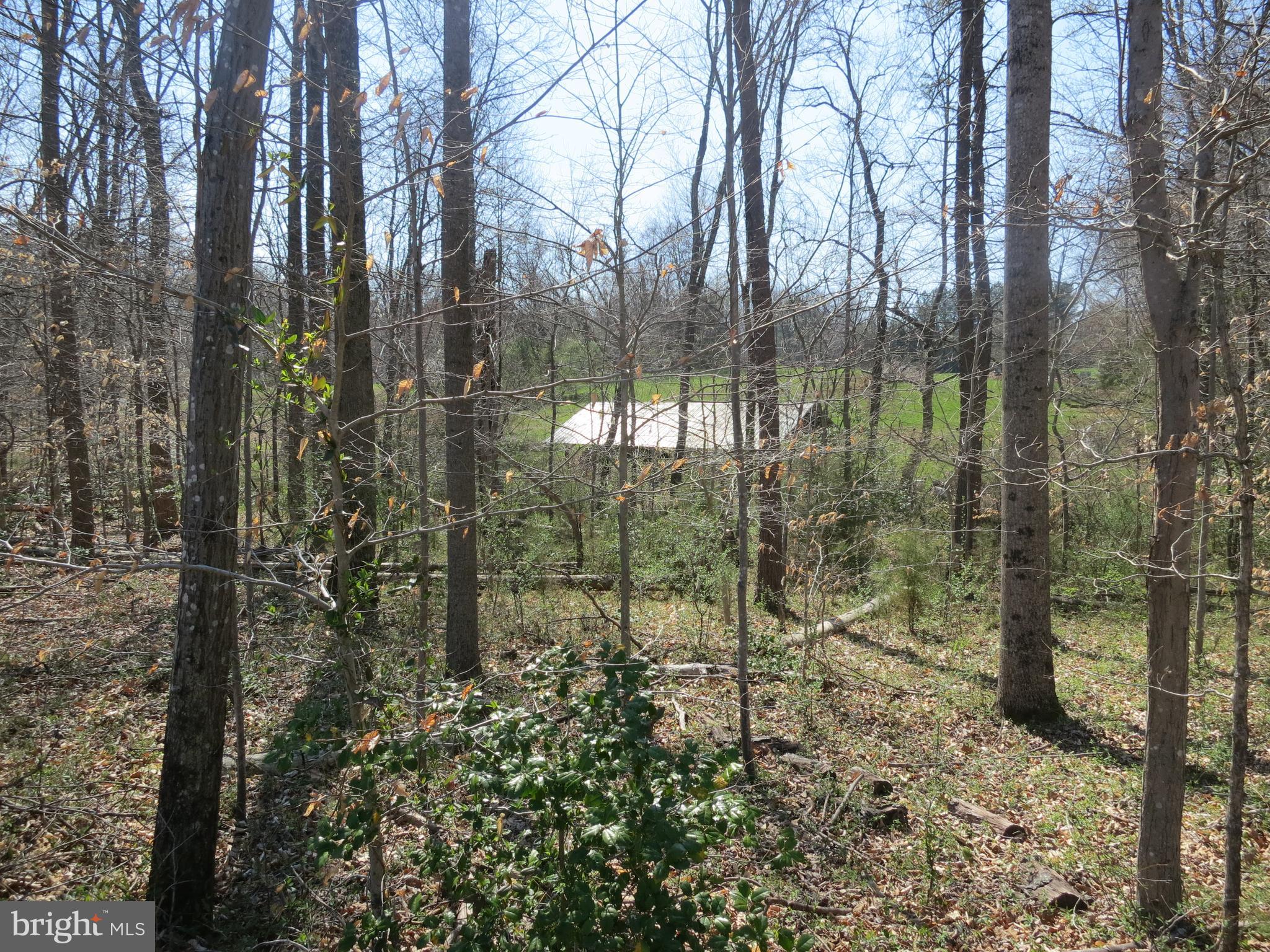 10590 Pineview Road Manassas, VA 20111 - Photo 14 of 22 Back property line looking out to barn