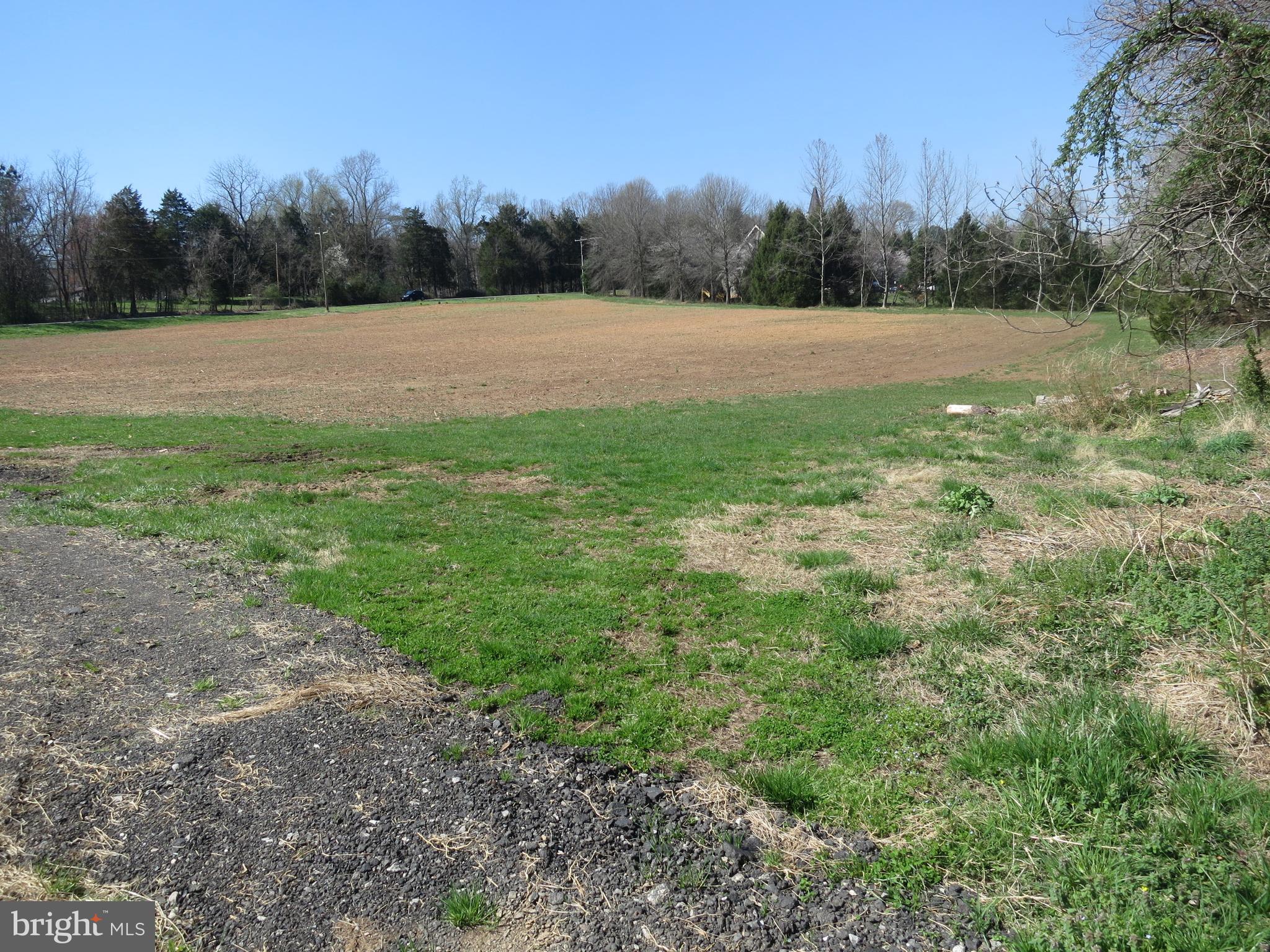 10590 Pineview Road Manassas, VA 20111 - Photo 4 of 22 Looking toward Pineview from back of lot