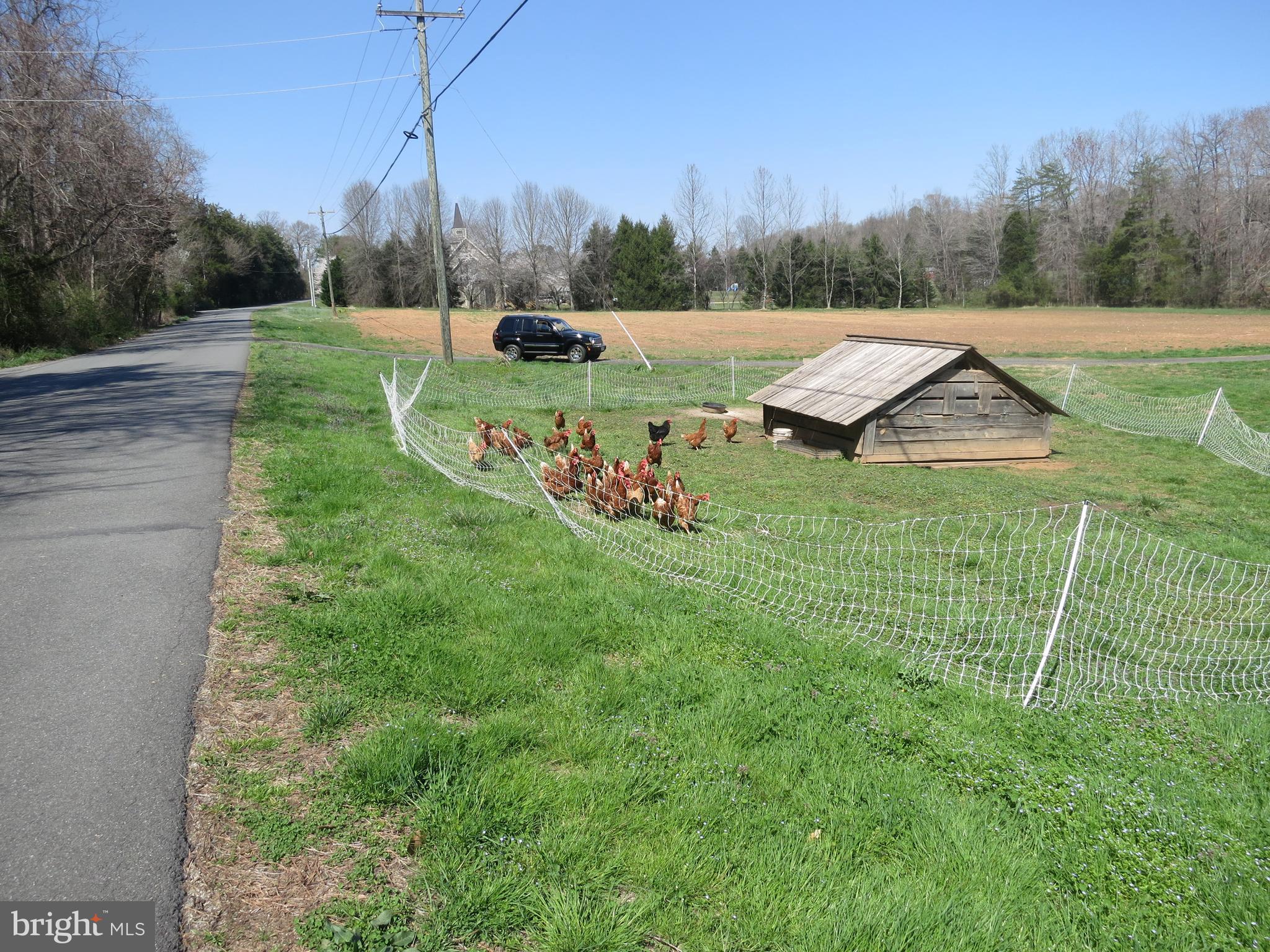 10590 Pineview Road Manassas, VA 20111 - Photo 5 of 22 Pineview frontage; chickens don't convey