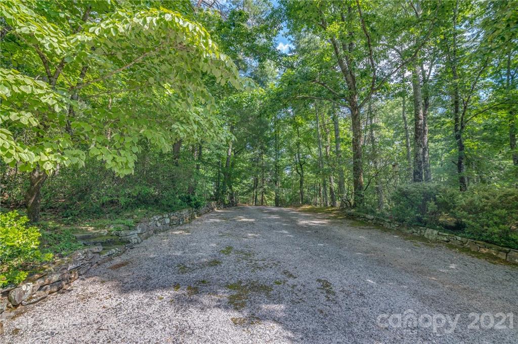 811 Hunting Country Road Tryon, NC 28782 - Photo 39 of 40 a view of a forest with trees in the background