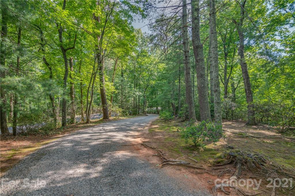 811 Hunting Country Road Tryon, NC 28782 - Photo 40 of 40 a view of outdoor space with trees