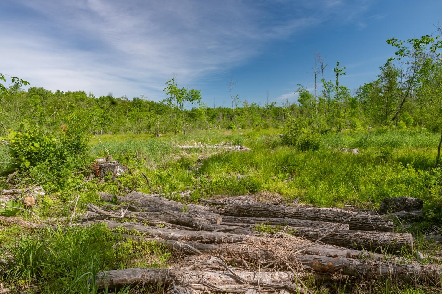 Chicago Road Redgranite, WI 54970 - Photo 13 of 37