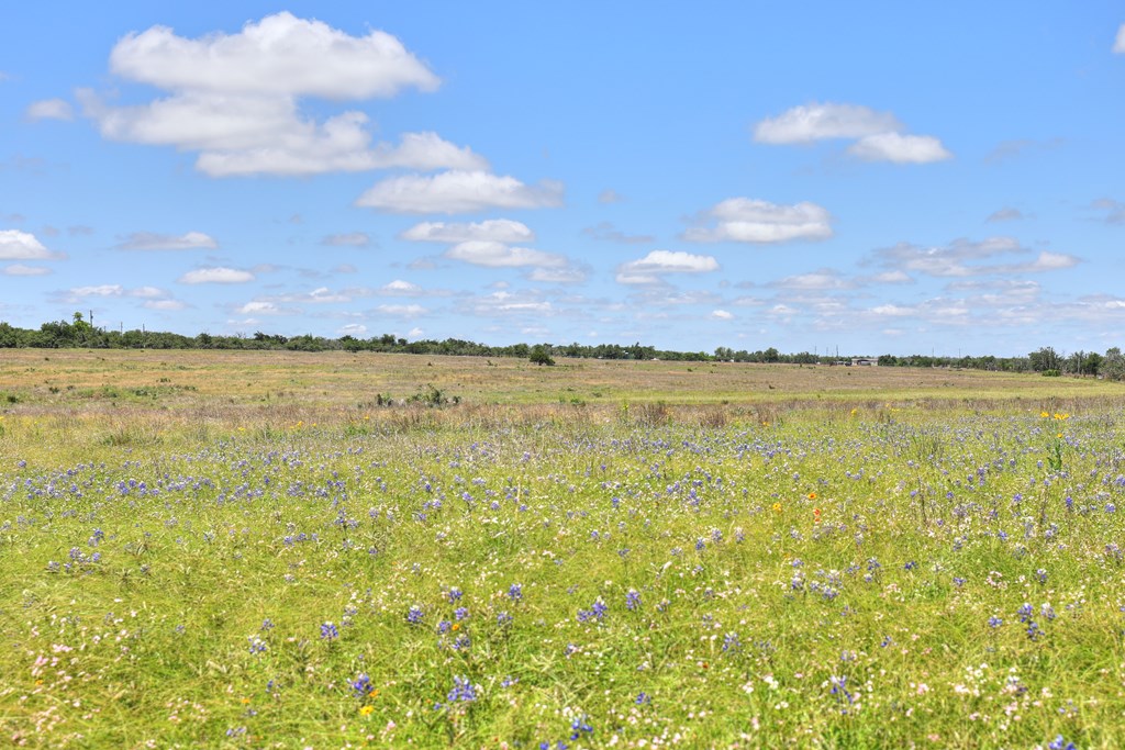 2600 Reservation Road Harper, TX 78631 - Photo 7 of 16