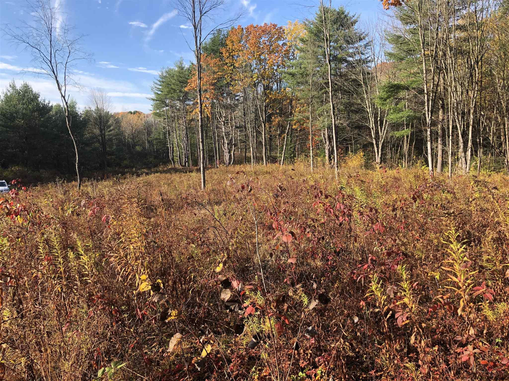 252 Williams Road Fort Edward, NY 12828 - Photo 4 of 7 Photo 4