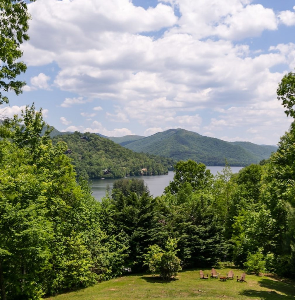 769 Indian Lake Road Topton, NC 28781 - Photo 41 of 44