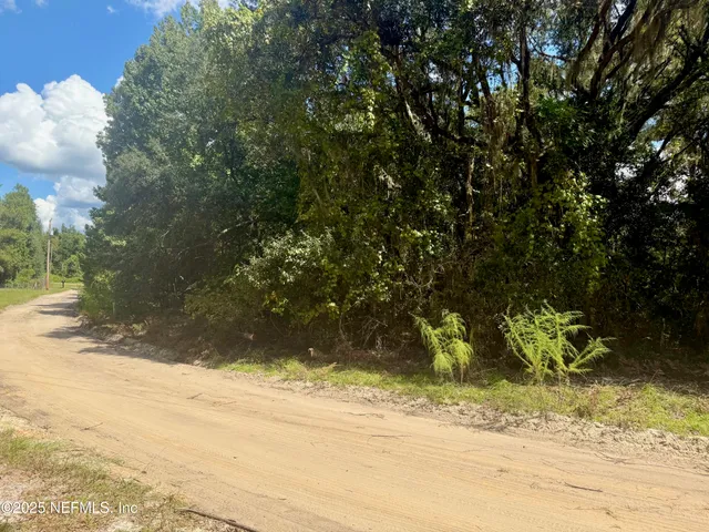 a view of a yard with plants and trees
