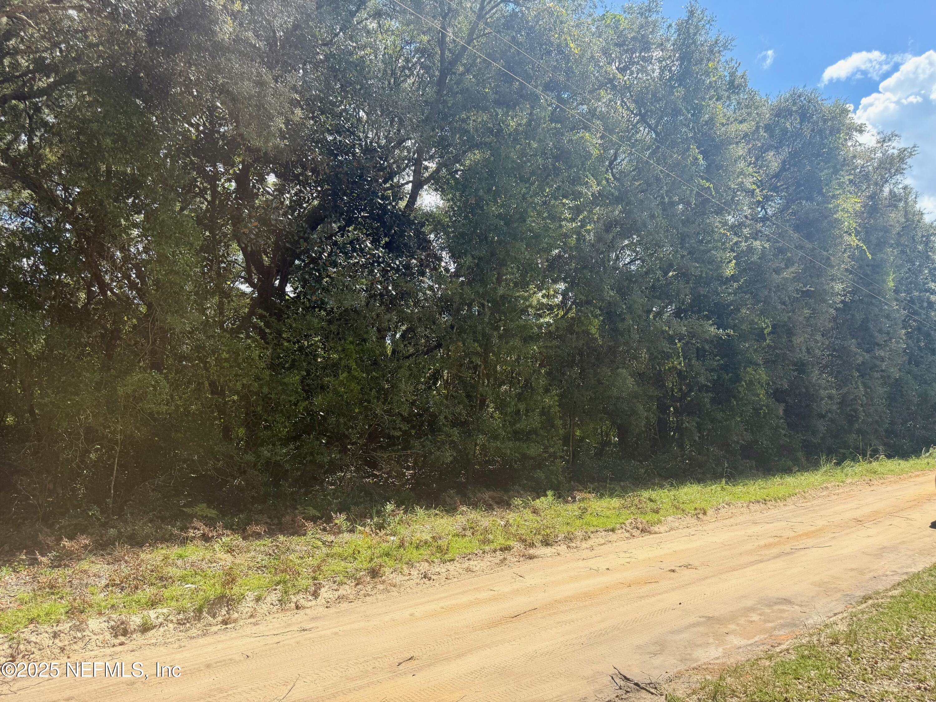 Xxx Nettles Road Florahome, FL 32140 - Photo 5 of 8 a view of a yard next to a building