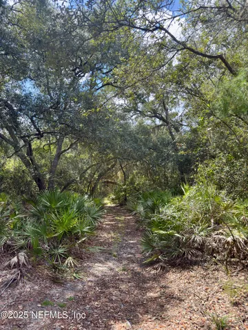 a big yard with lots of green space