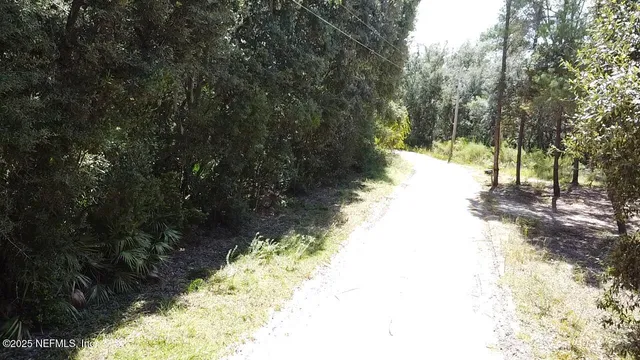 a view of a yard with a tree