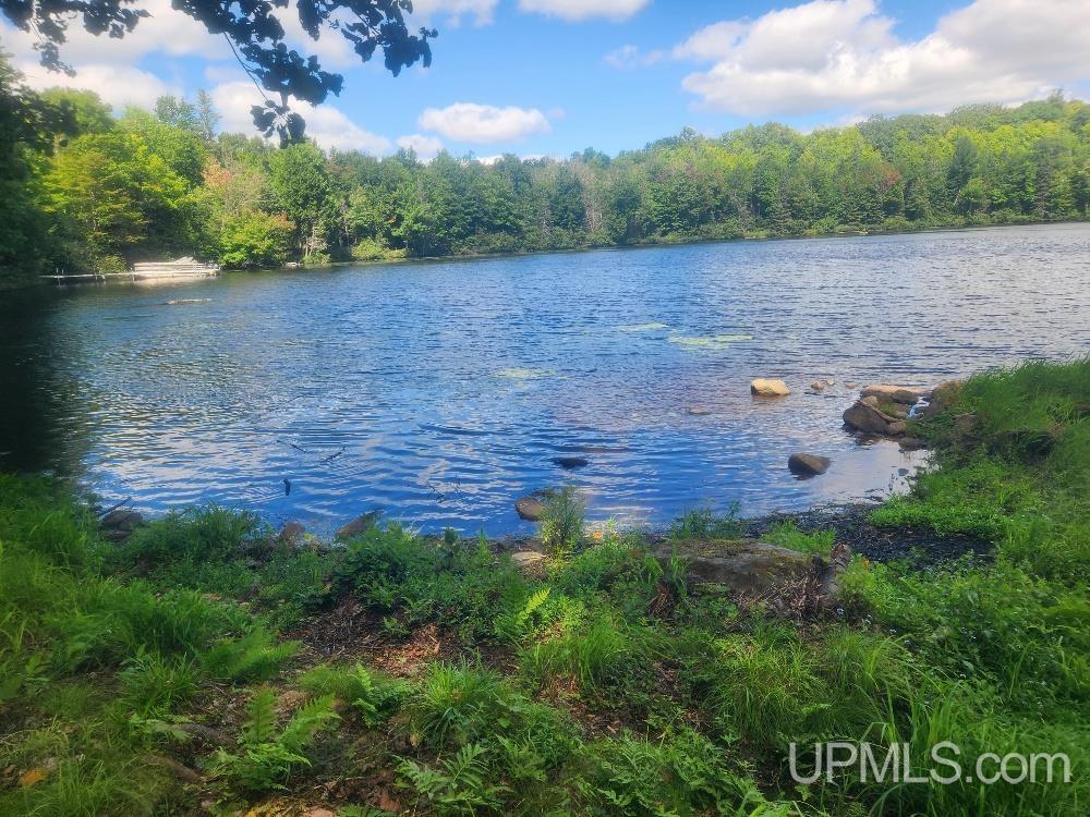 Tbd West Tamarack Lake Road, Unit LOT 5 Watersmeet, MI 49969 - Photo 47 of 66