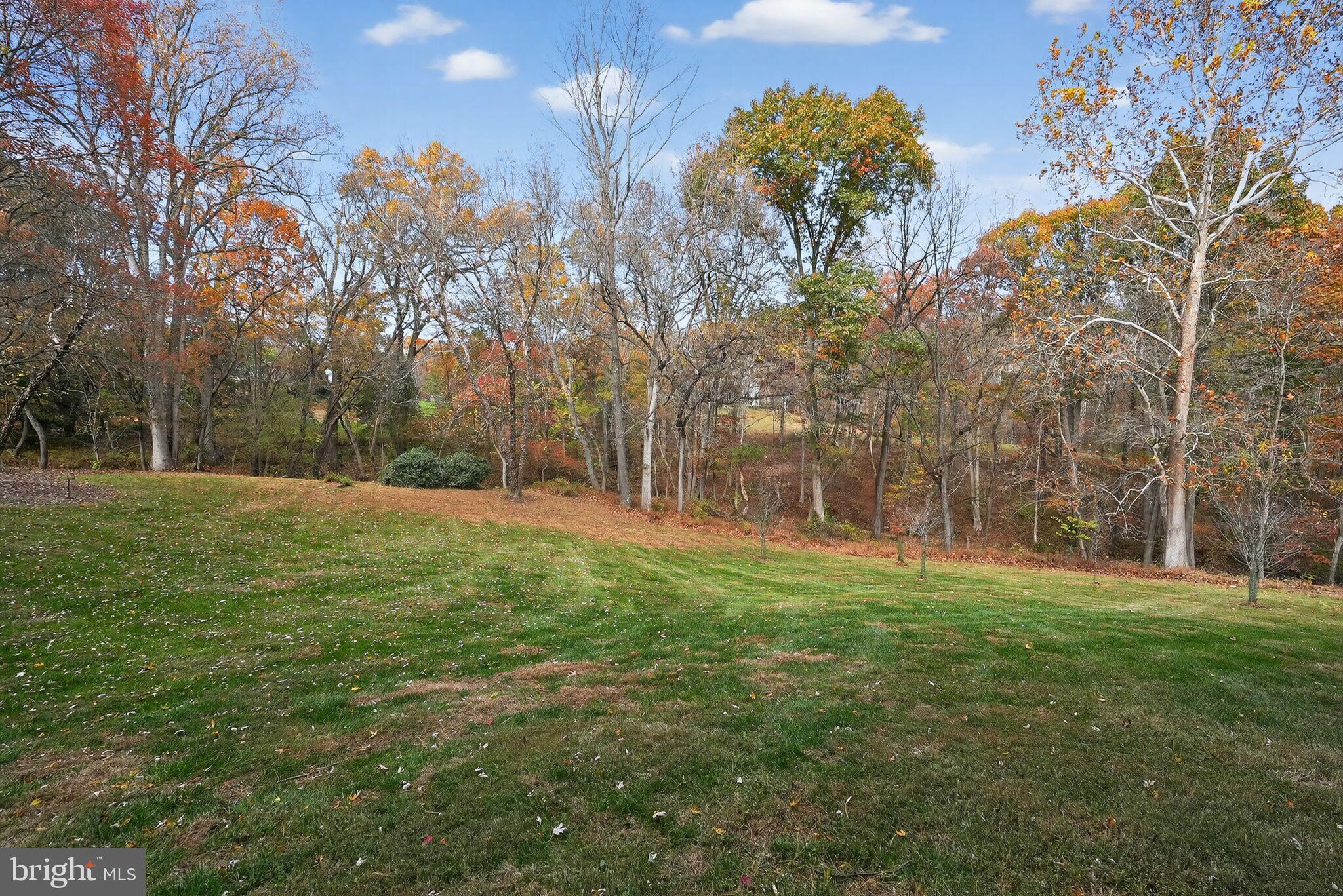 13821 Esworthy Road Darnestown, MD 20874 - Photo 71 of 98 Magnificent century-old white oaks