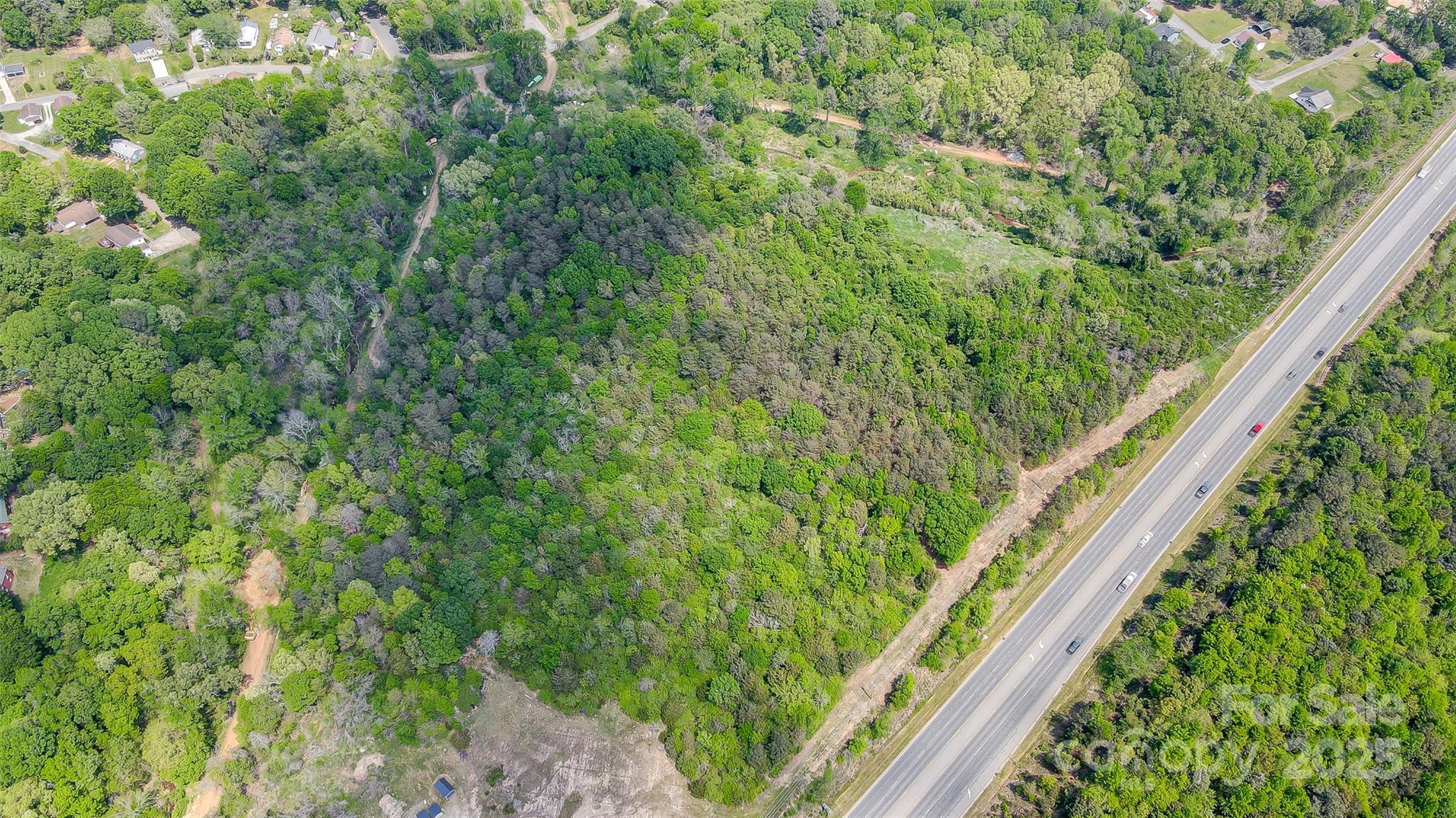 24/27 Rd Albemarle Nc 28001 Road Albemarle, NC 28001 - Photo 2 of 7 a close up of a plant in a garden