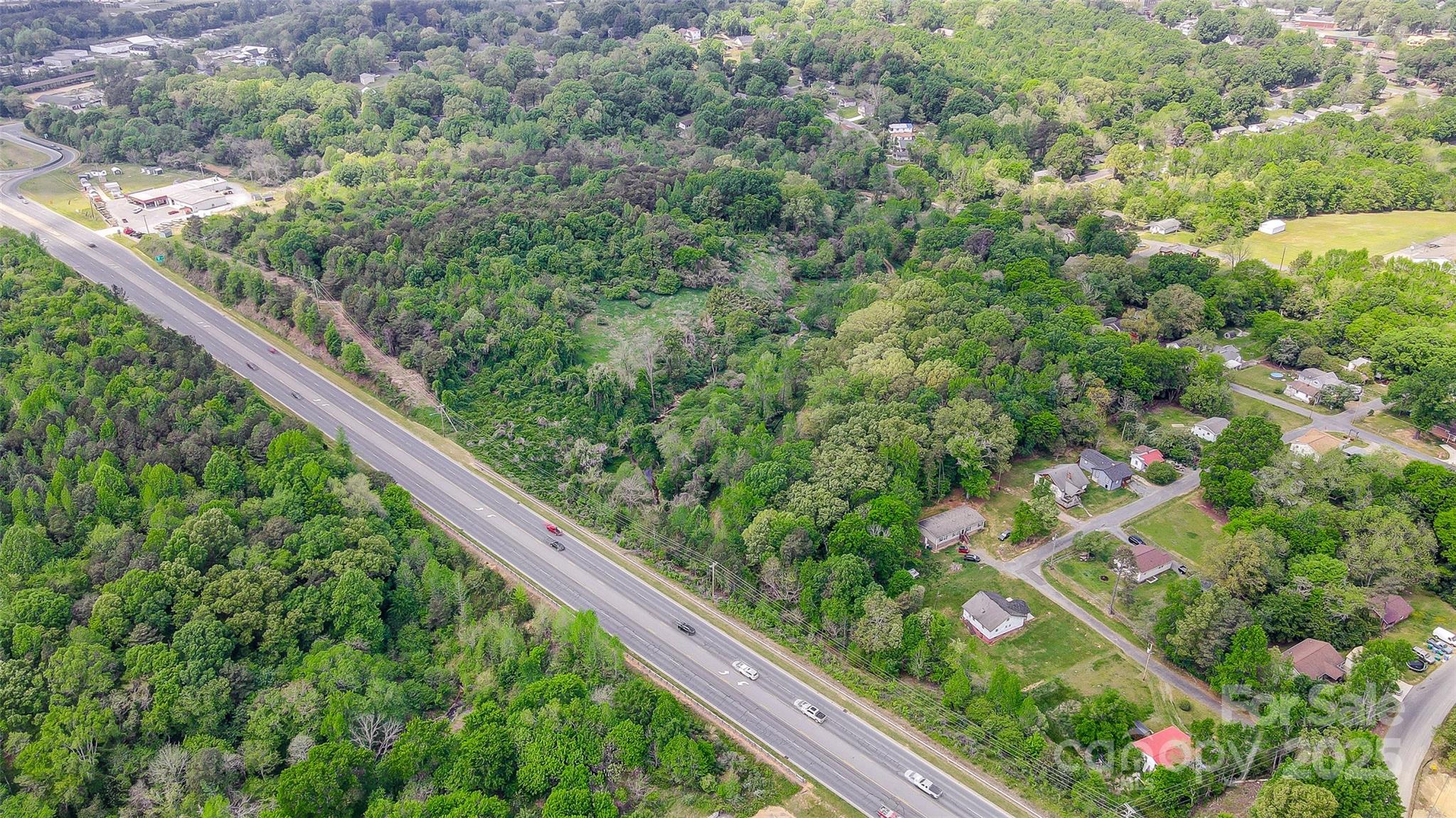 24/27 Rd Albemarle Nc 28001 Road Albemarle, NC 28001 - Photo 5 of 7 a close up of a plant in a forest