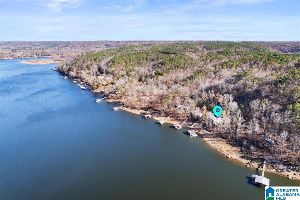 80 Williams Road Crane Hill, AL 35053 - Photo 51 of 72