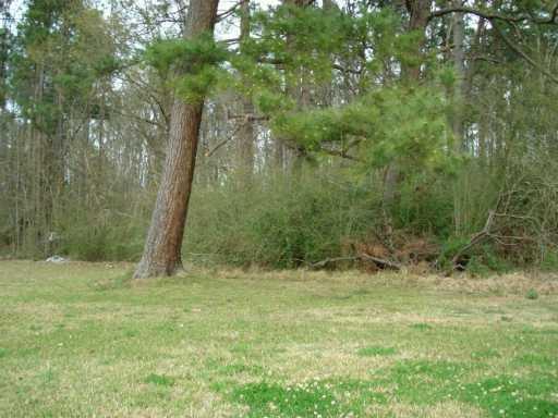 53298 Ragusa Road Independence, LA 70443 - Photo 3 of 3 Gallery Image 3