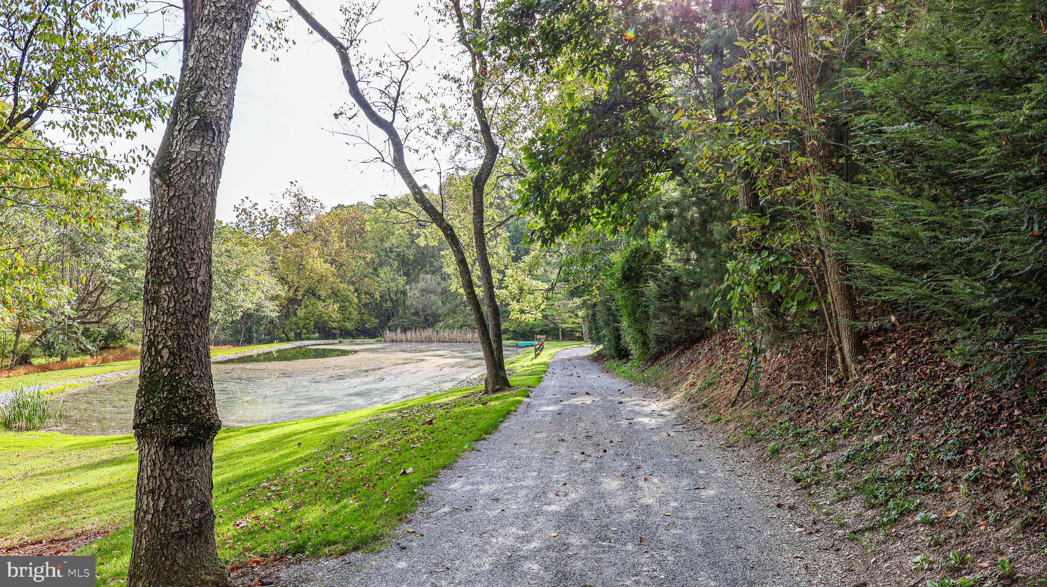 240 Evans Road Lititz, PA 17543 - Photo 13 of 77 a view of a yard with large trees