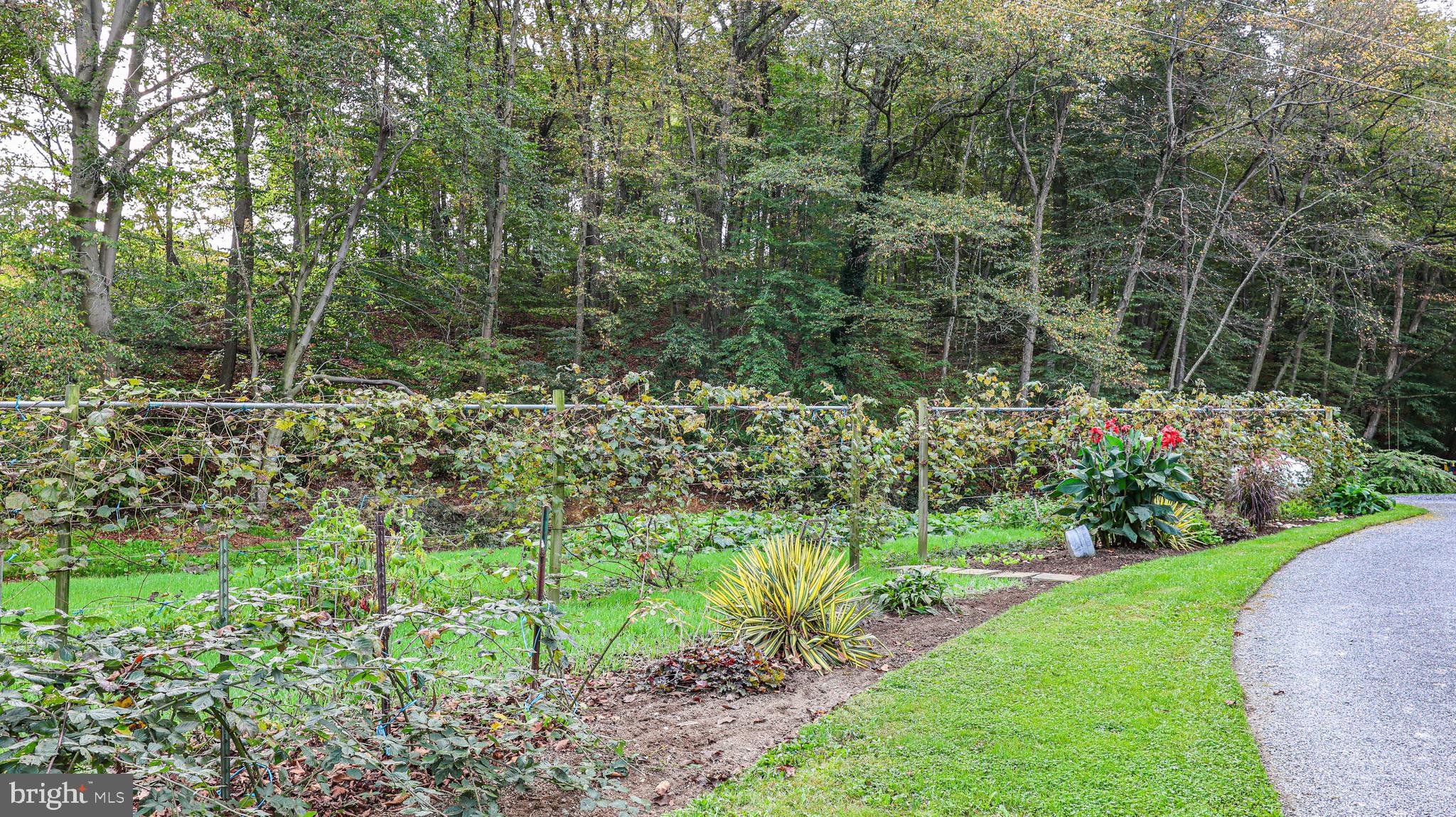 240 Evans Road Lititz, PA 17543 - Photo 14 of 77 a view of a garden with a pathway