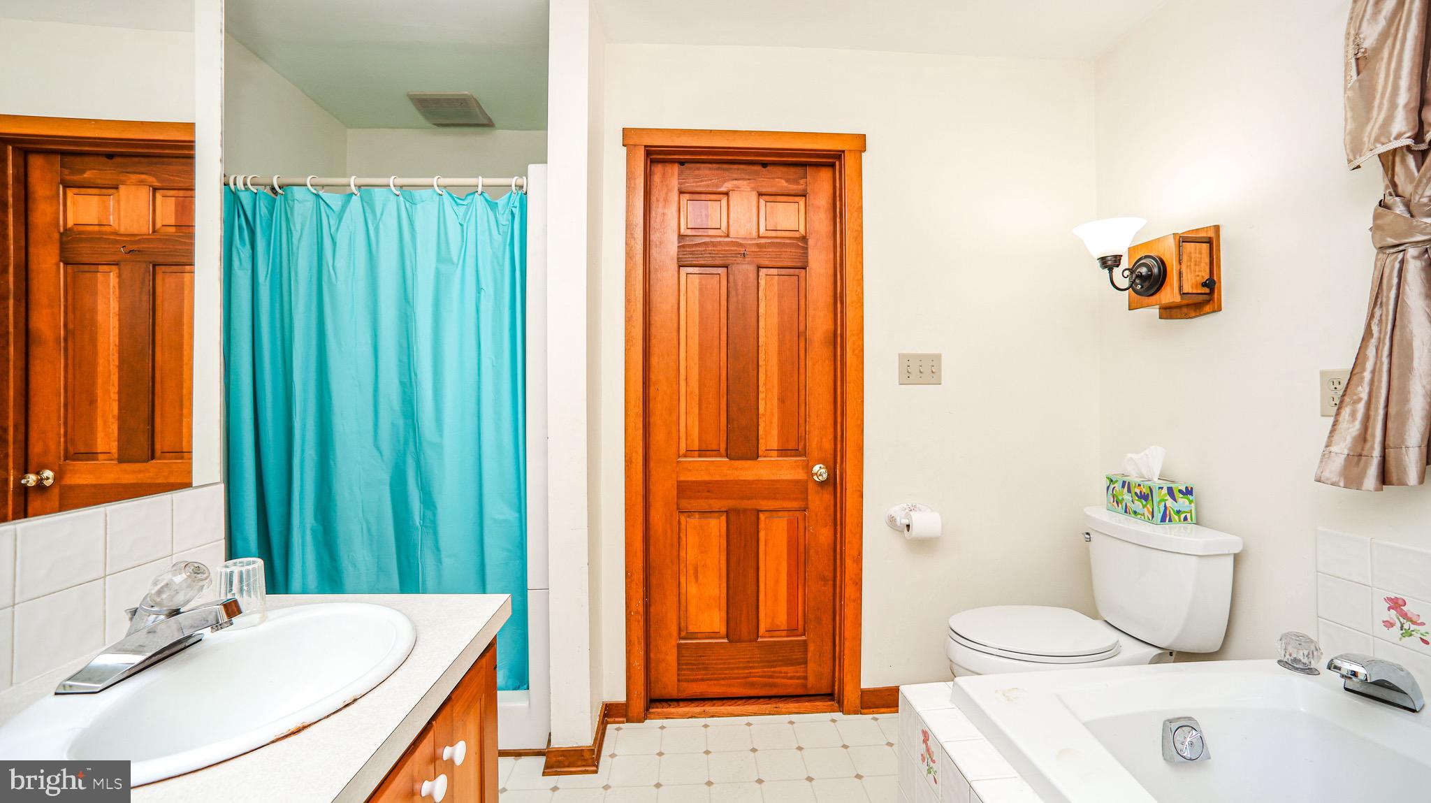 240 Evans Road Lititz, PA 17543 - Photo 22 of 77 a bathroom with a sink a toilet and shower curtain