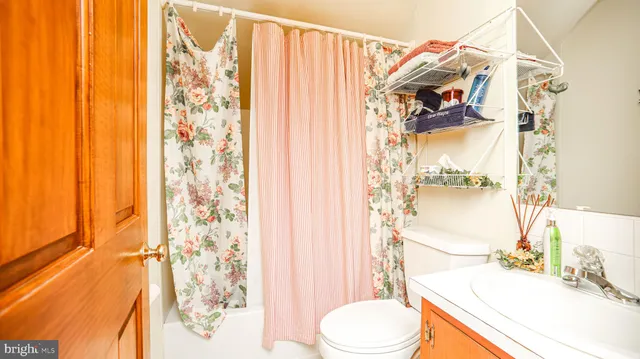 a view of a yard with plants and trees