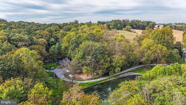 a view of a house with a yard and large tree