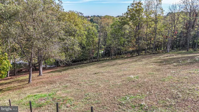 a view of a patio with table and chairs potted plants and large tree