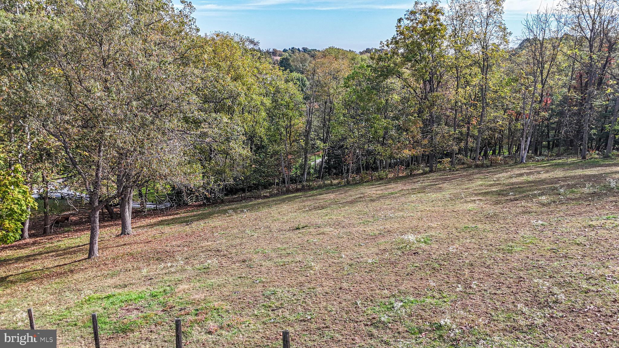 240 Evans Road Lititz, PA 17543 - Photo 41 of 77 a view of a yard with trees