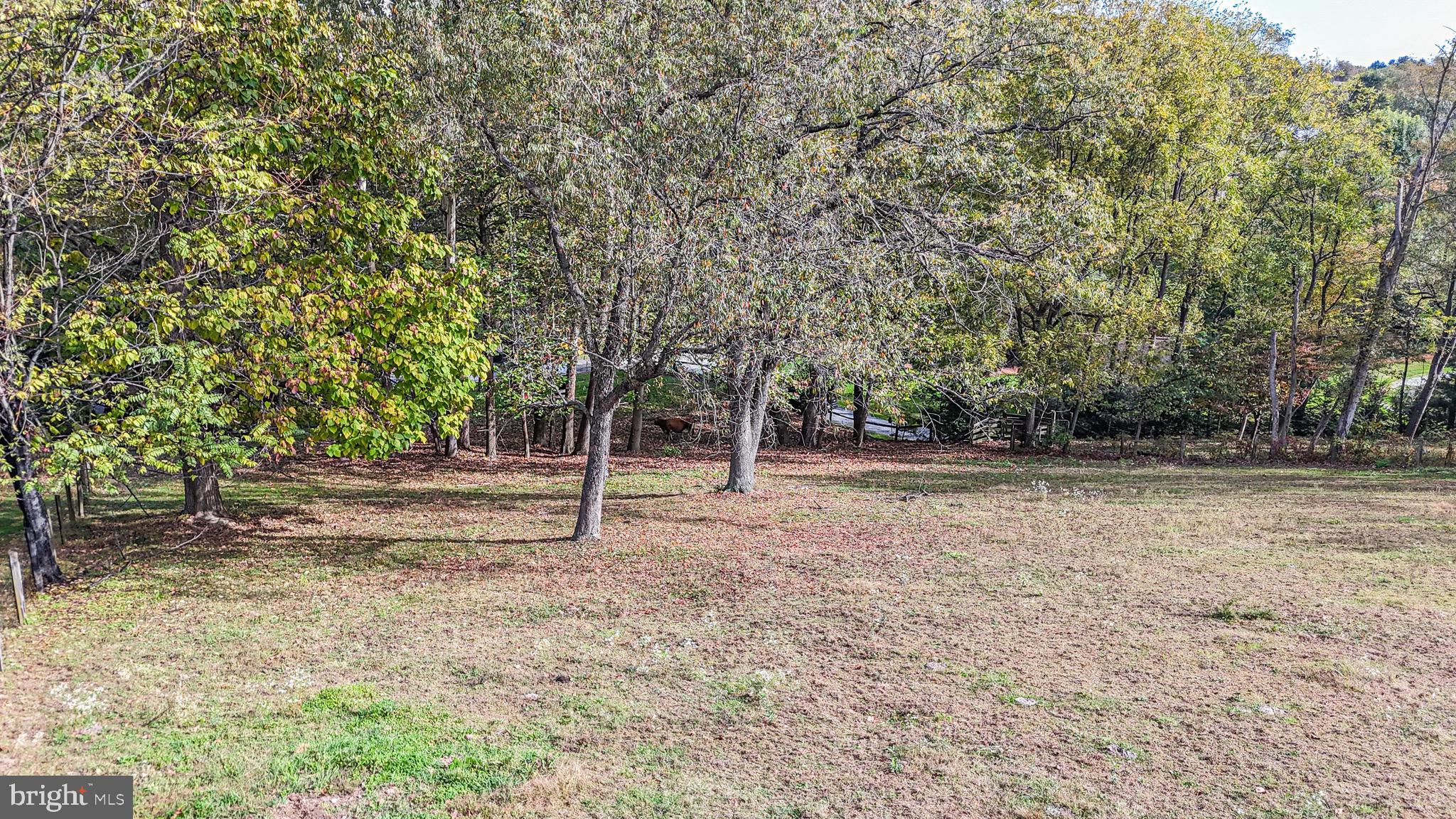 240 Evans Road Lititz, PA 17543 - Photo 42 of 77 a ground with lots of trees